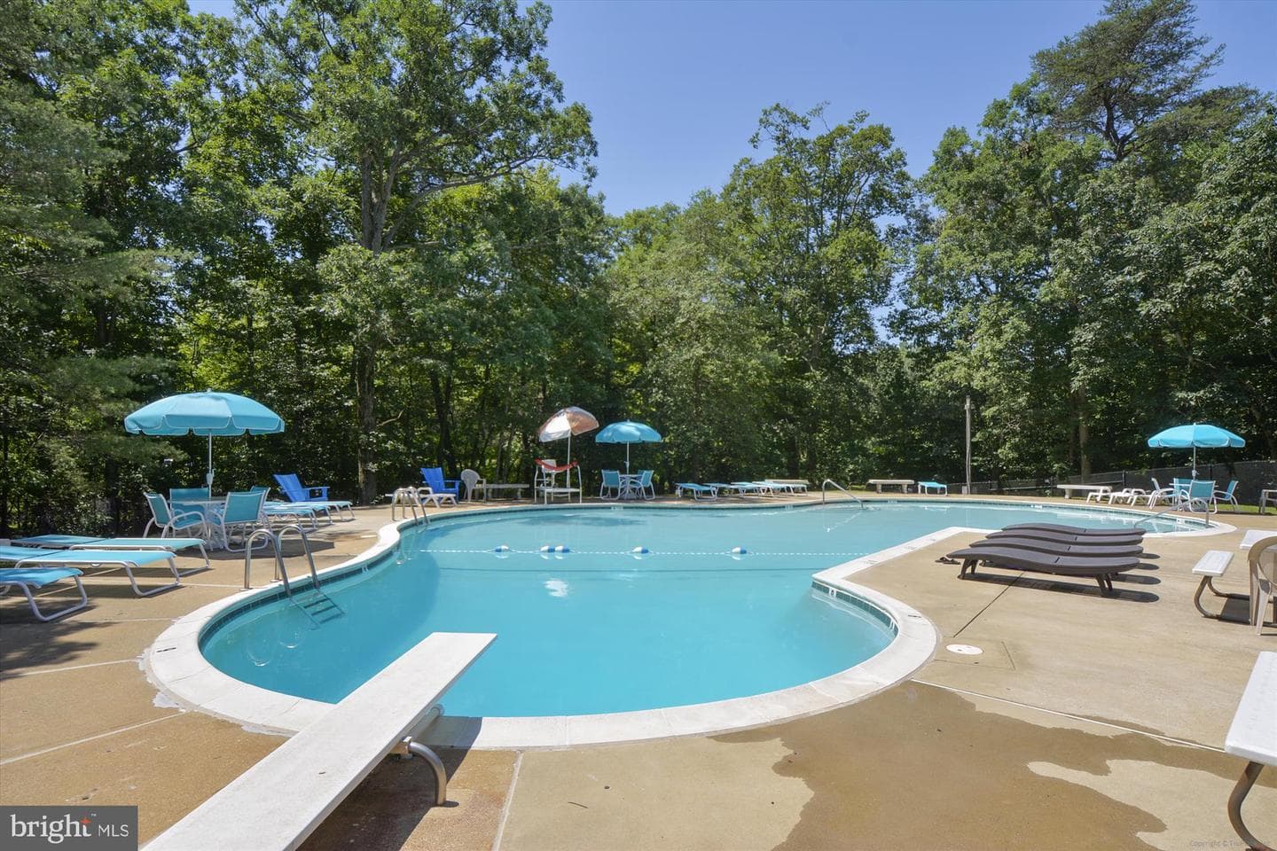 144 Cardamon Drive photo 41