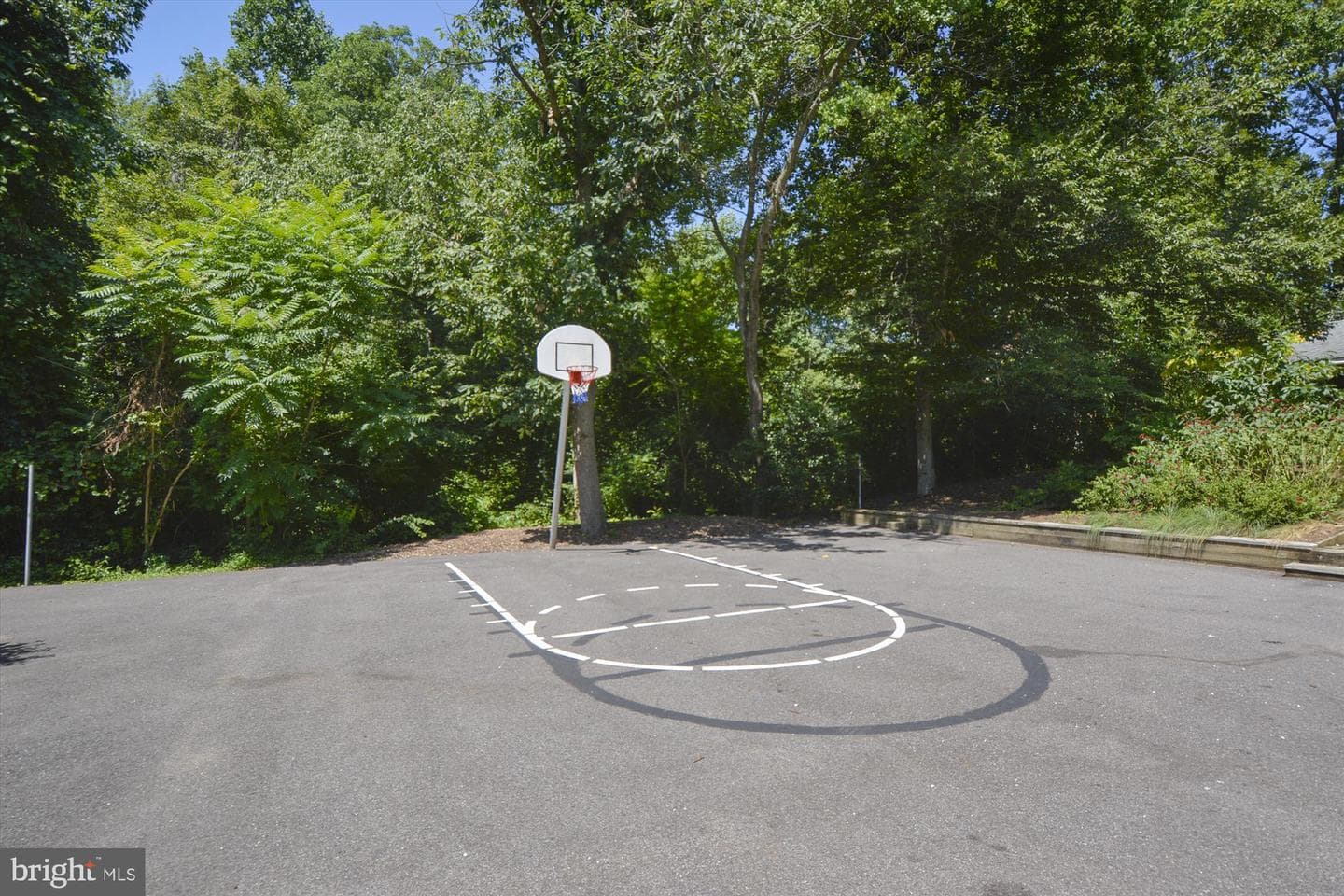 144 Cardamon Drive photo 43