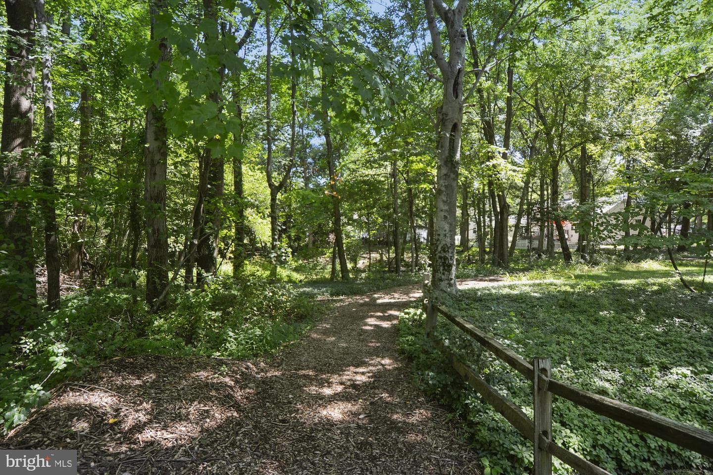 144 Cardamon Drive photo 47