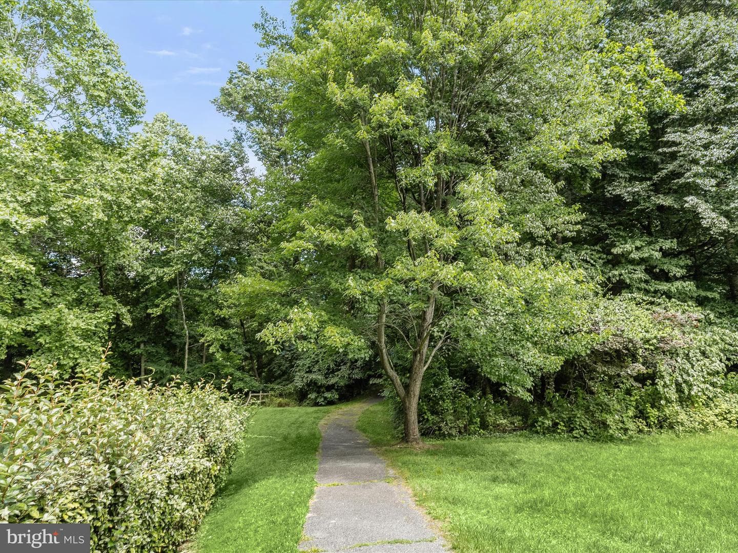 3526 Rippling Way photo 58