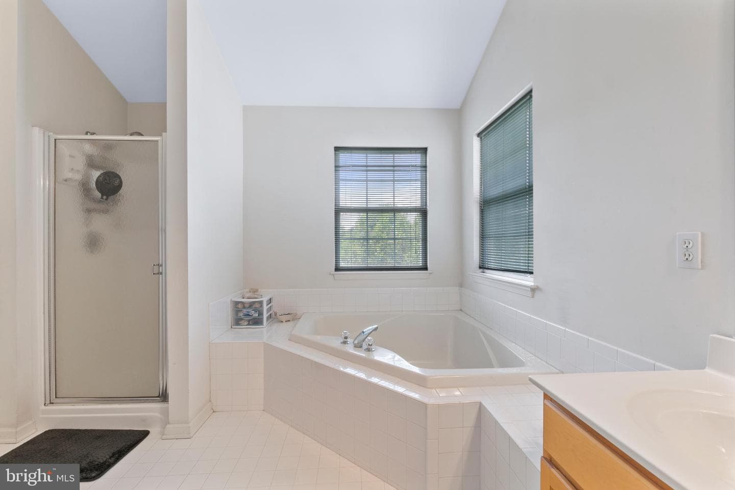 313 Buckland Court photo 39