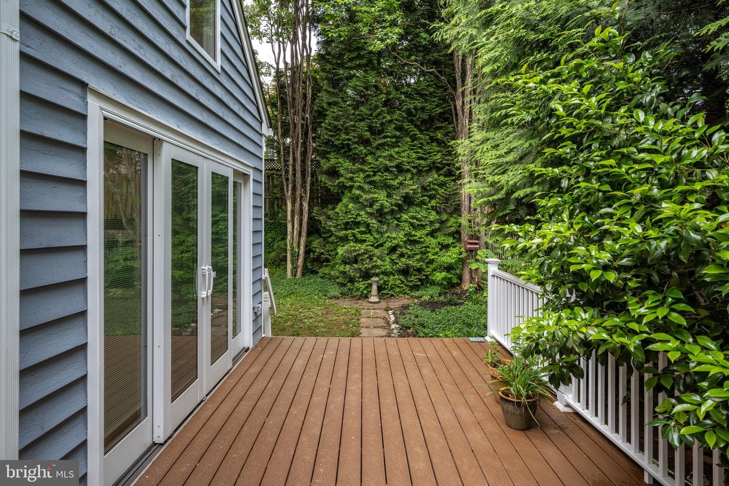 24 Steele Avenue photo 47
