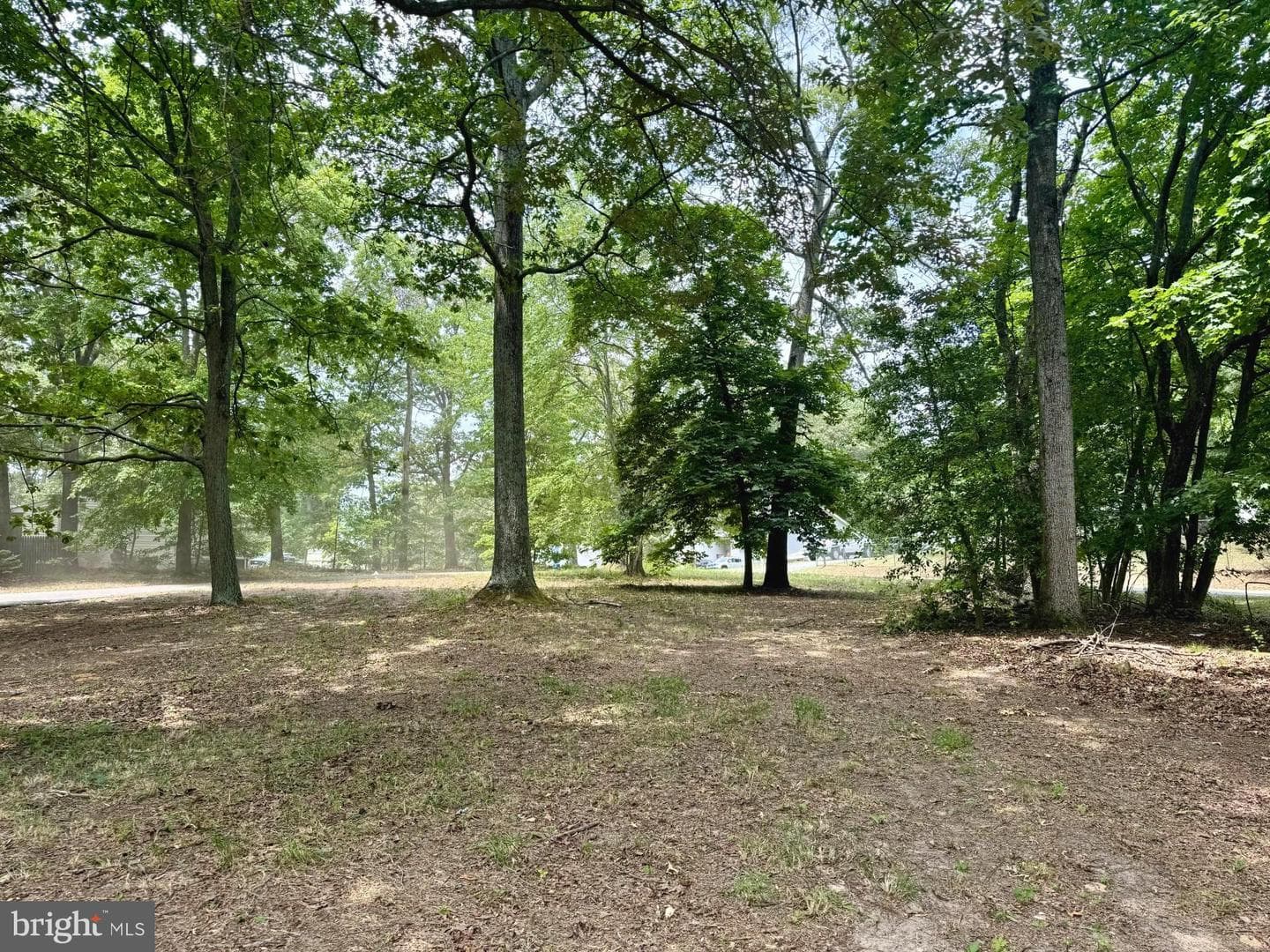 1567 Colony Road photo 13