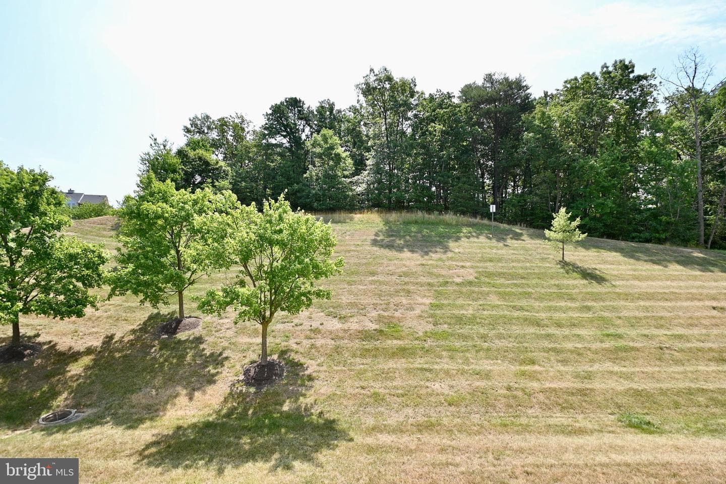 2496 Amber Orchard Court E #202 photo 34