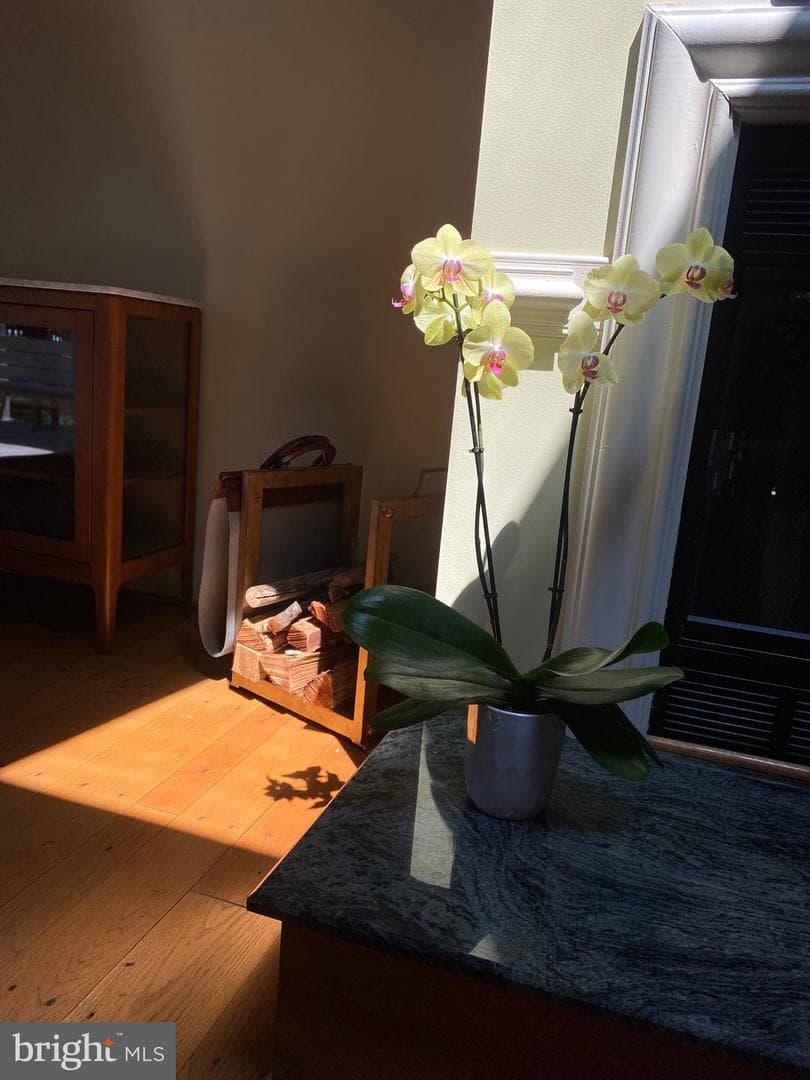 411 Melvin Avenue photo 13