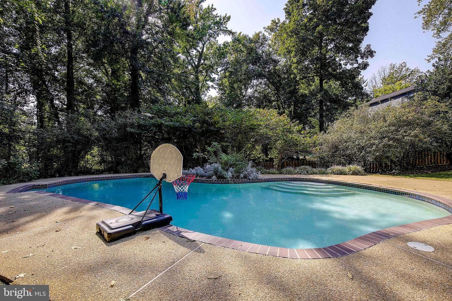 3243 Blackwalnut Drive photo 5