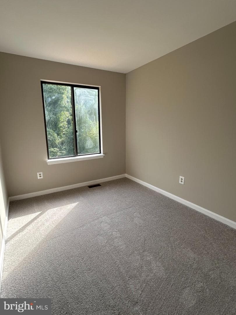 413 Peach Court photo 17
