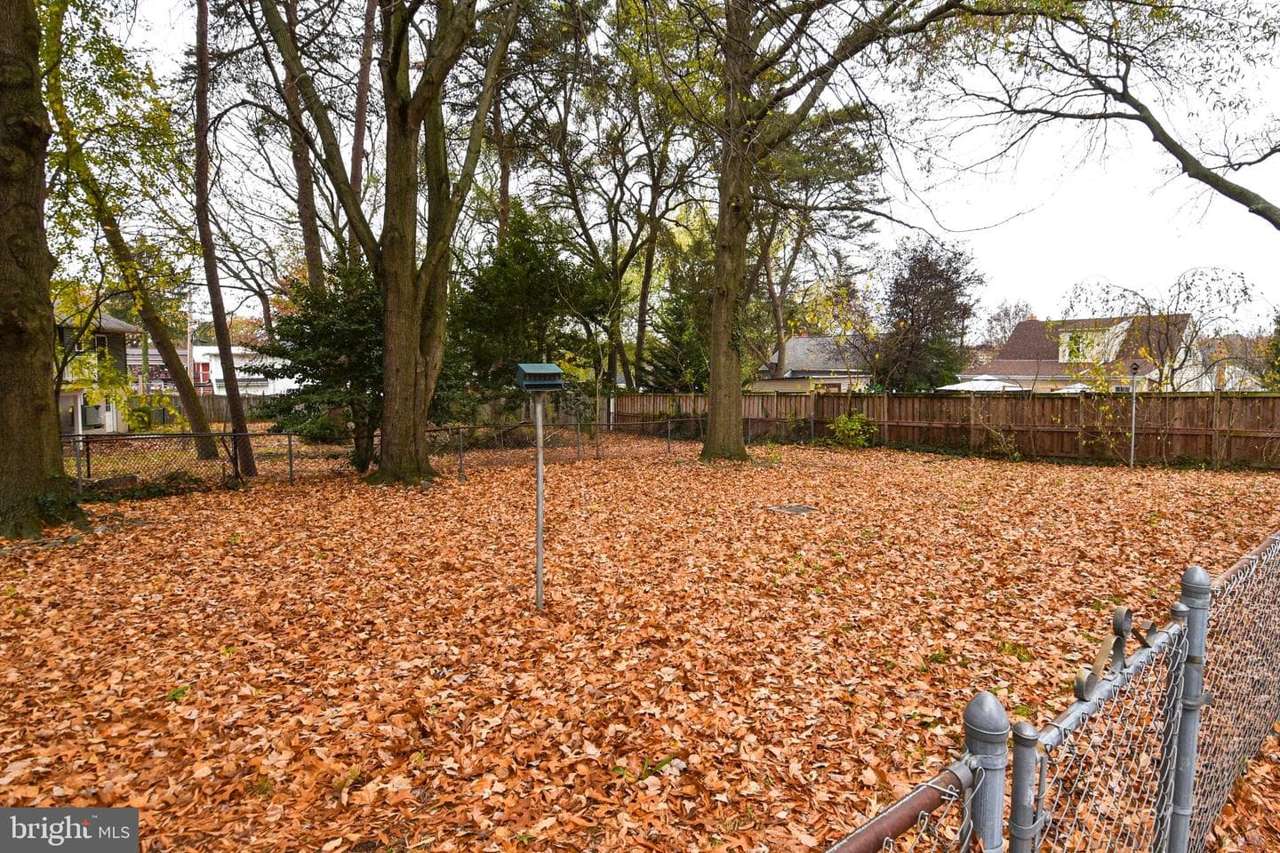 500 Dogwood Drive photo 46