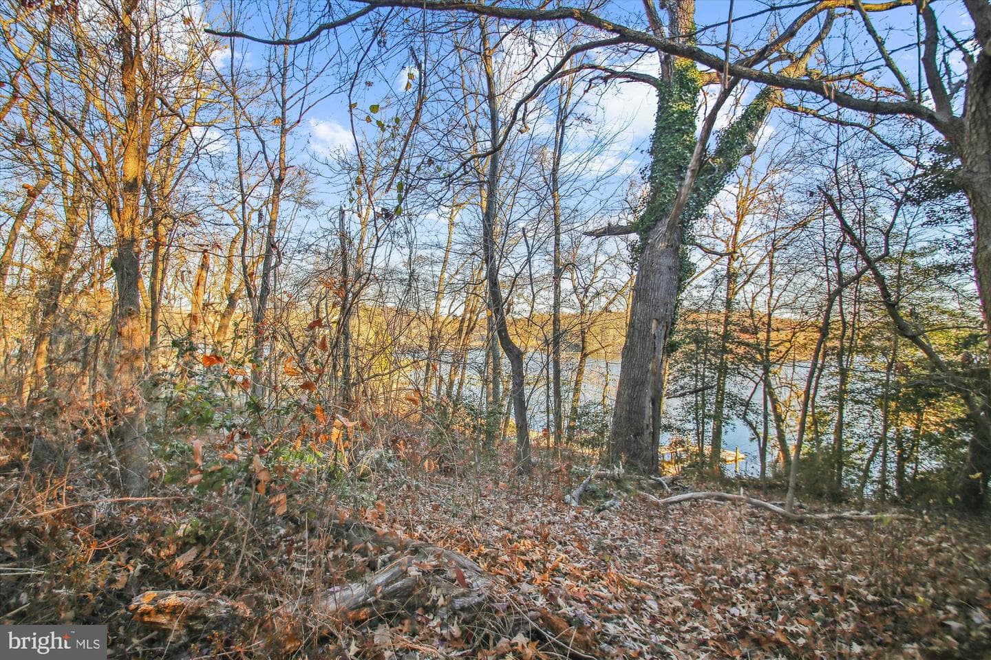901 Indian Landing Road photo 15