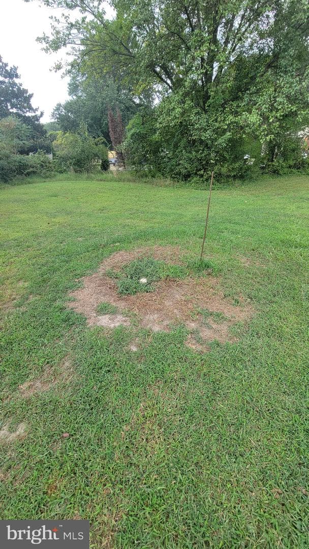 408 McBride Lane photo 13