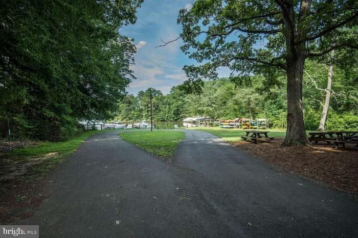 2 Severn Drive photo 36