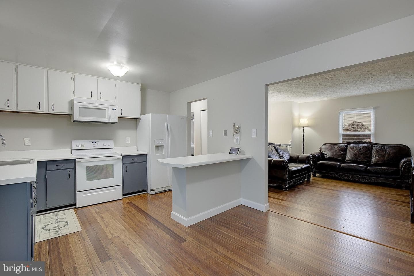 1525 Big Baer Court photo 8