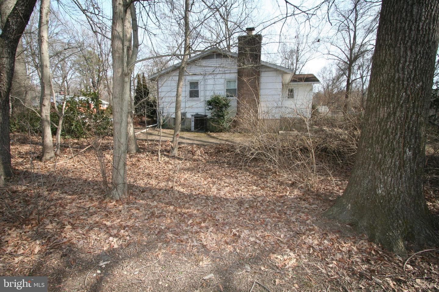 1605 George Avenue photo 42