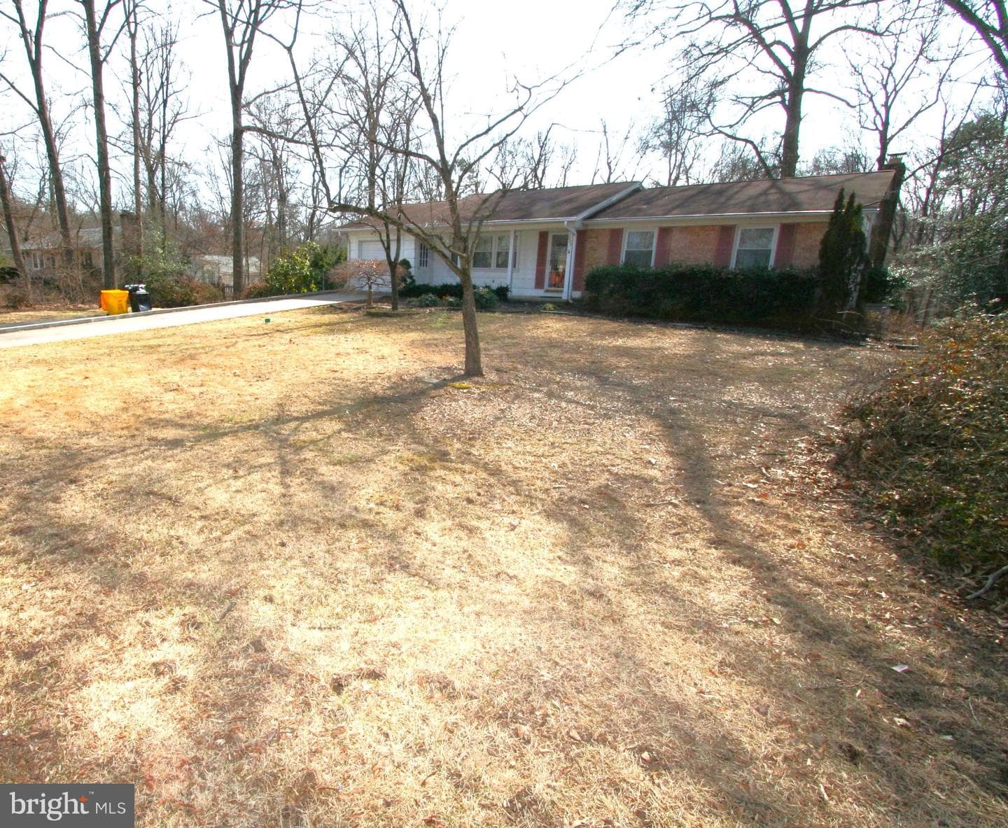 1605 George Avenue photo 43