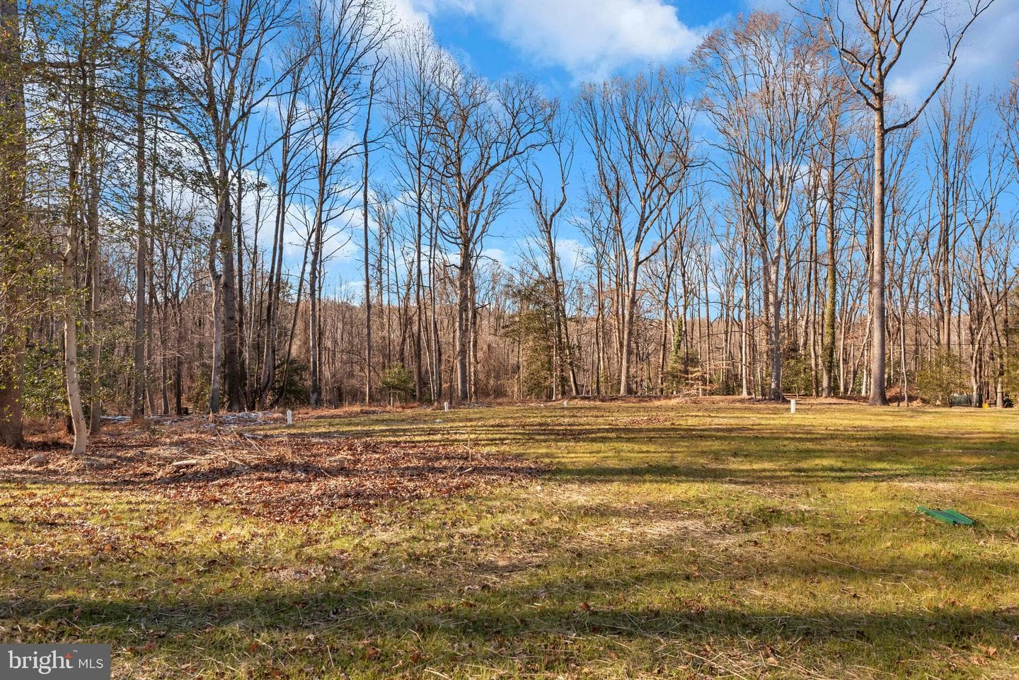 6502 Whitetail Crossing Way photo 47