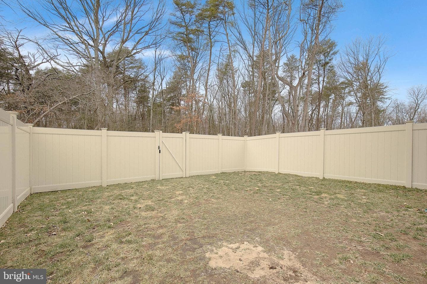 7439 Quantico Way photo 28