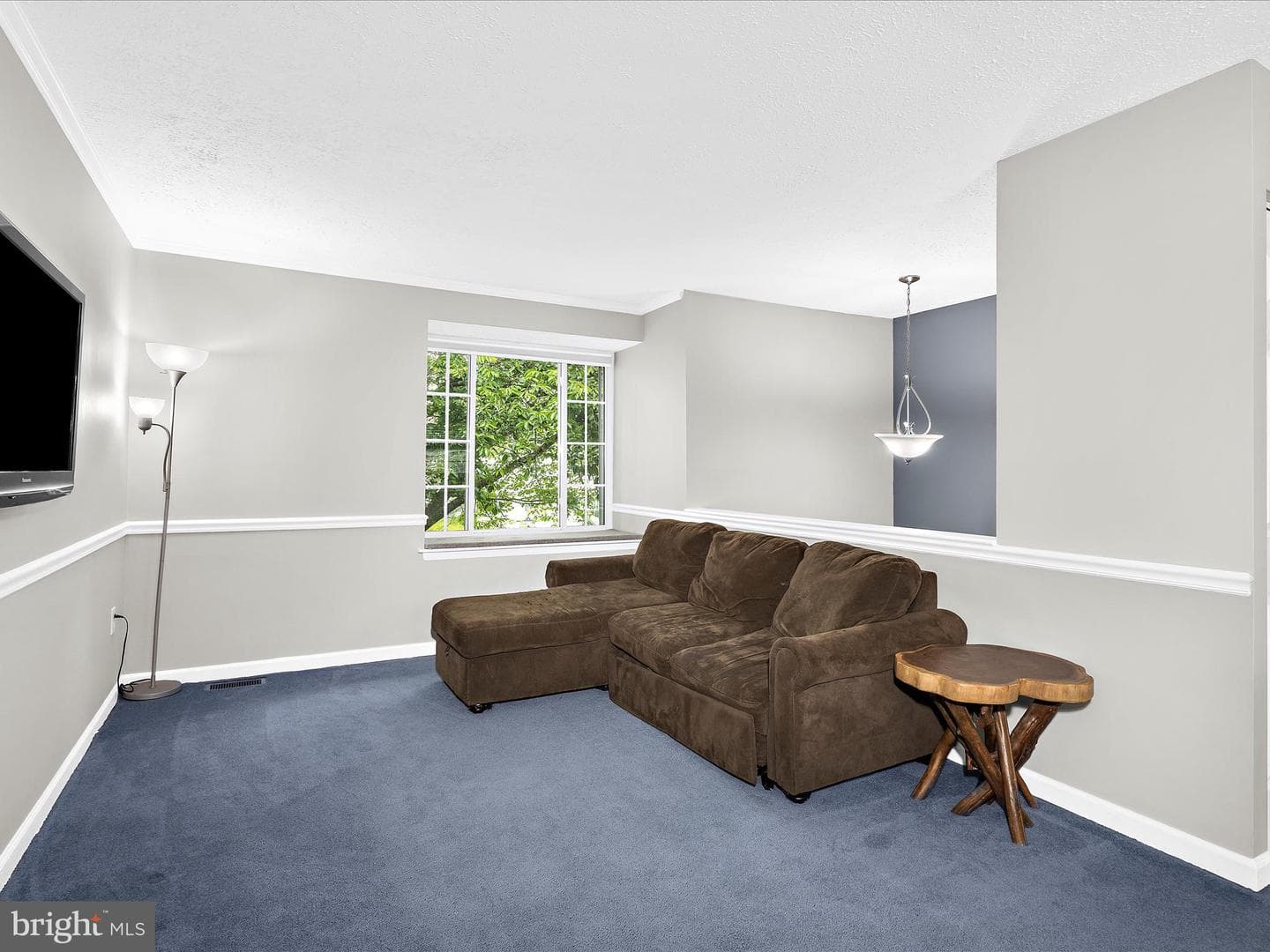 321 Alexis Drive photo 3