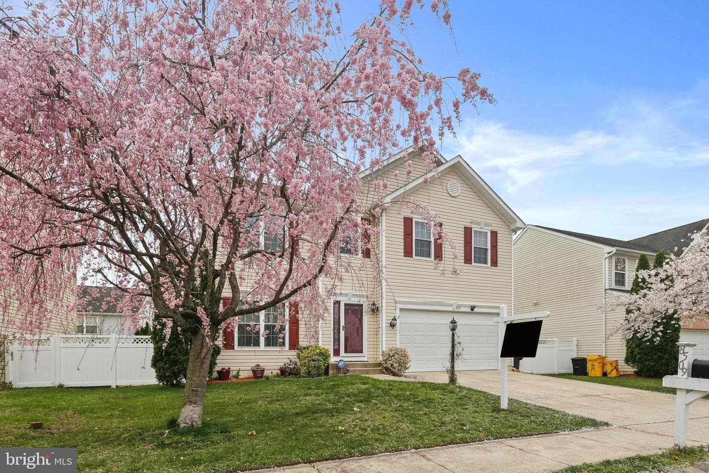 8509 Lexington Drive photo 3