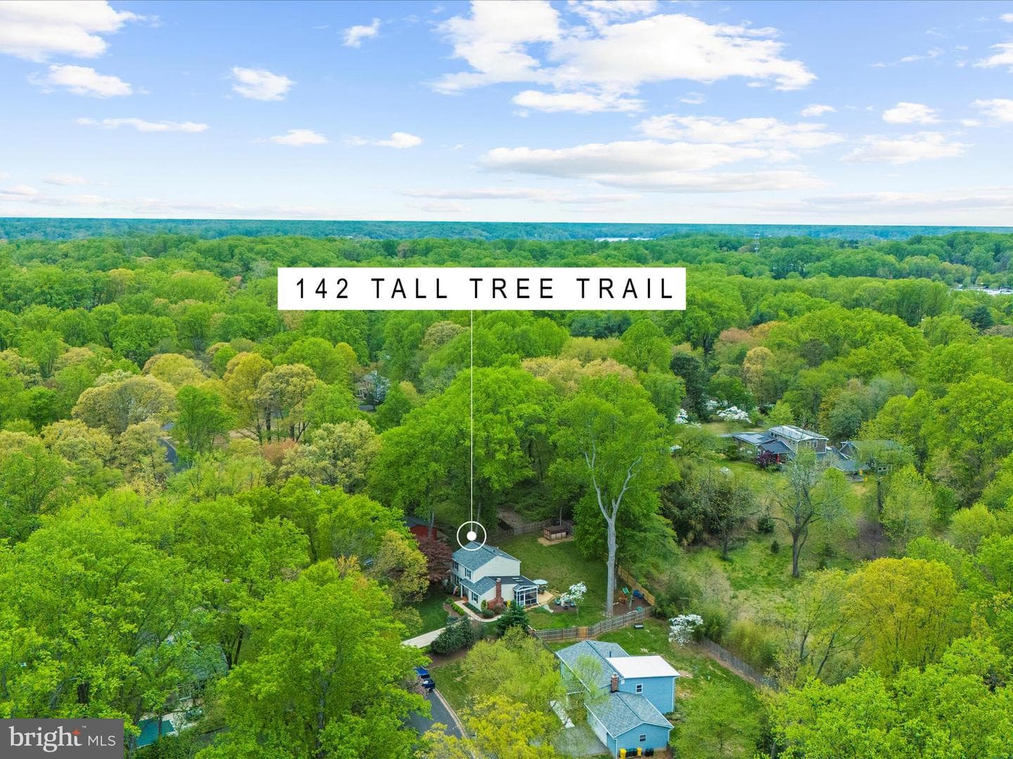 142 Tall Tree Trail photo 58