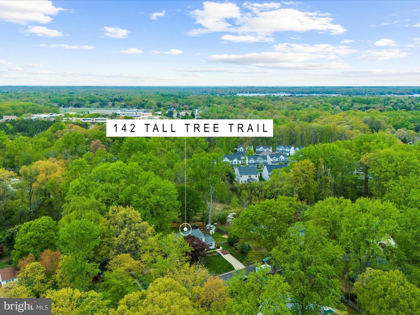 142 Tall Tree Trail photo 59