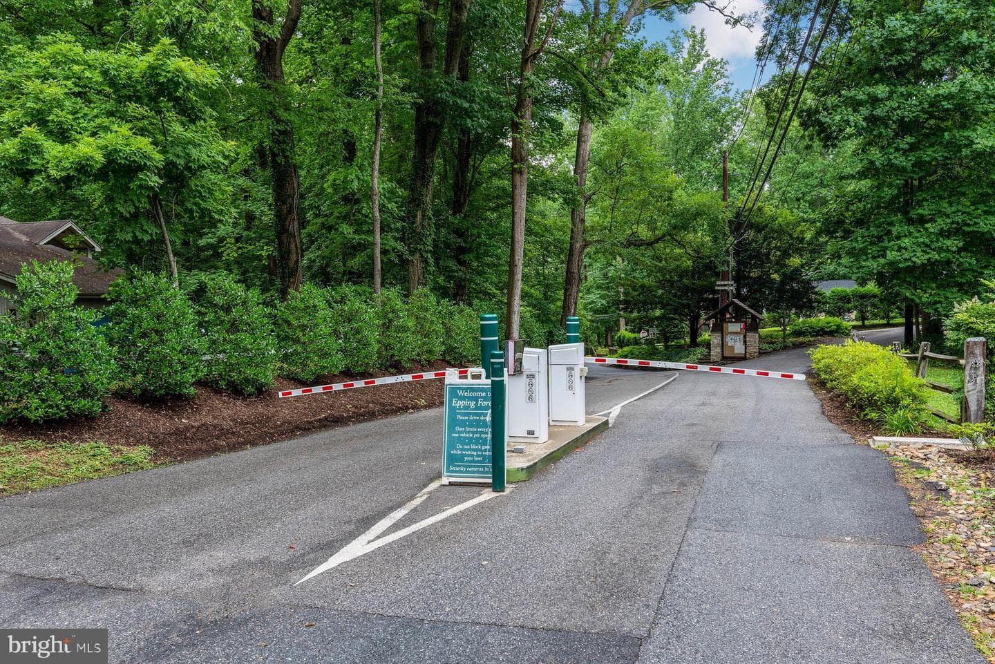 336 Severn Road photo 43