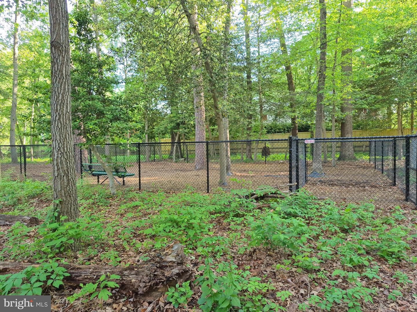 264 Capote Ct. East photo 77