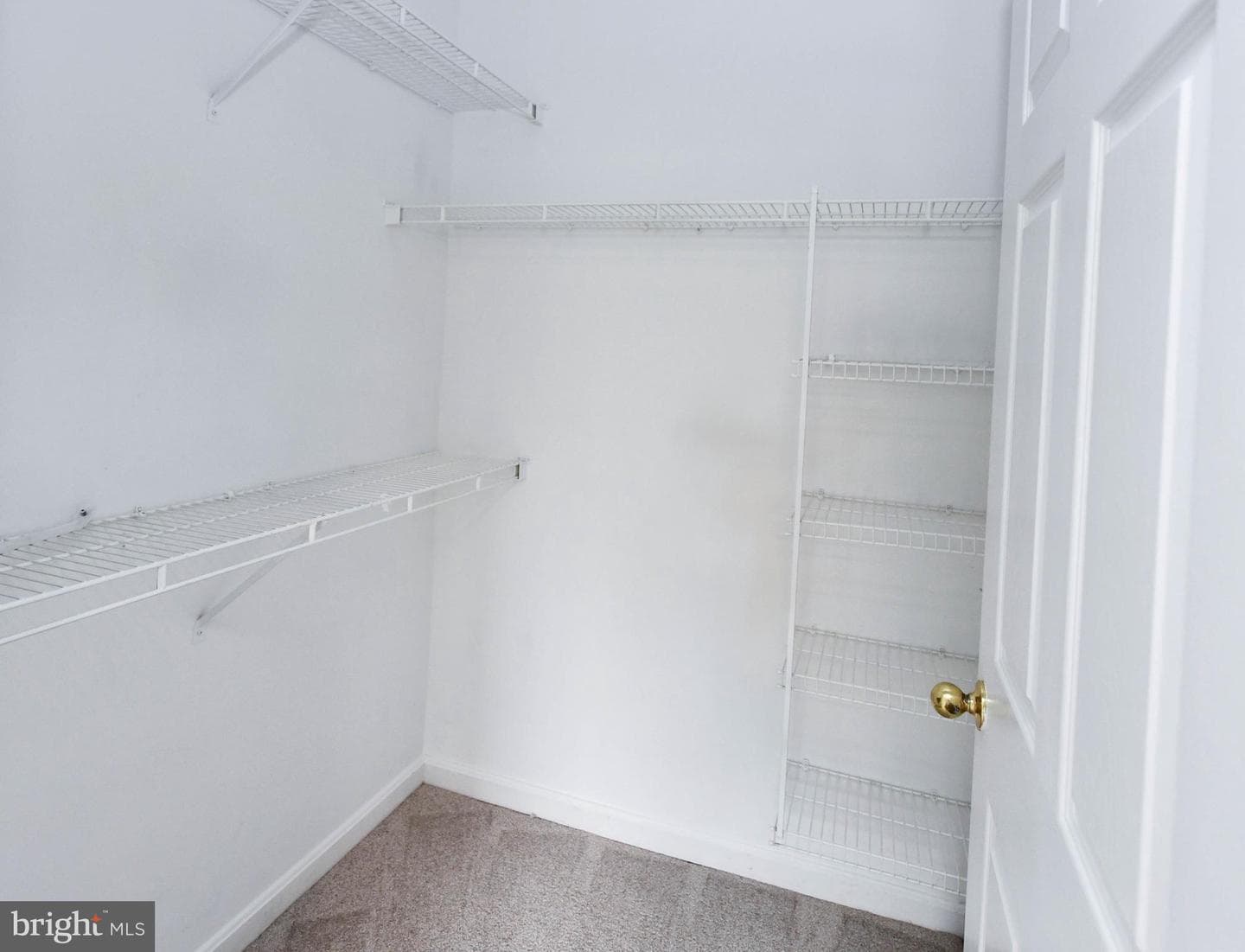 3517 Piney Woods Place #e204 photo 25