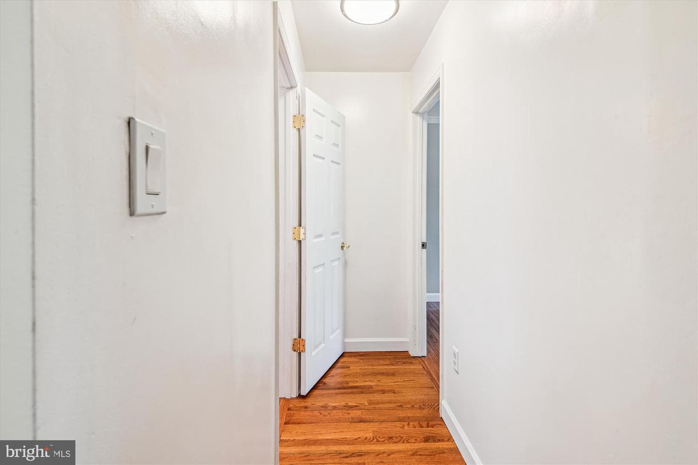 368 Volley Court photo 20