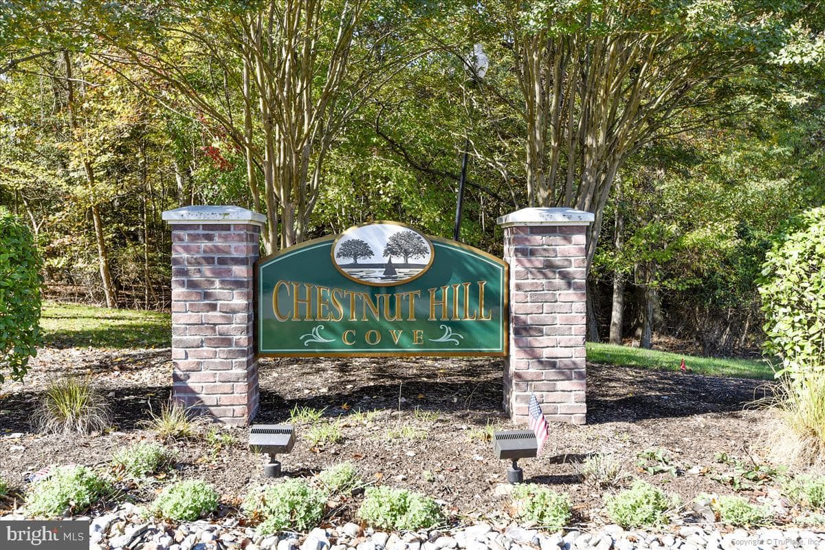 977 Chestnut Manor Court photo 52