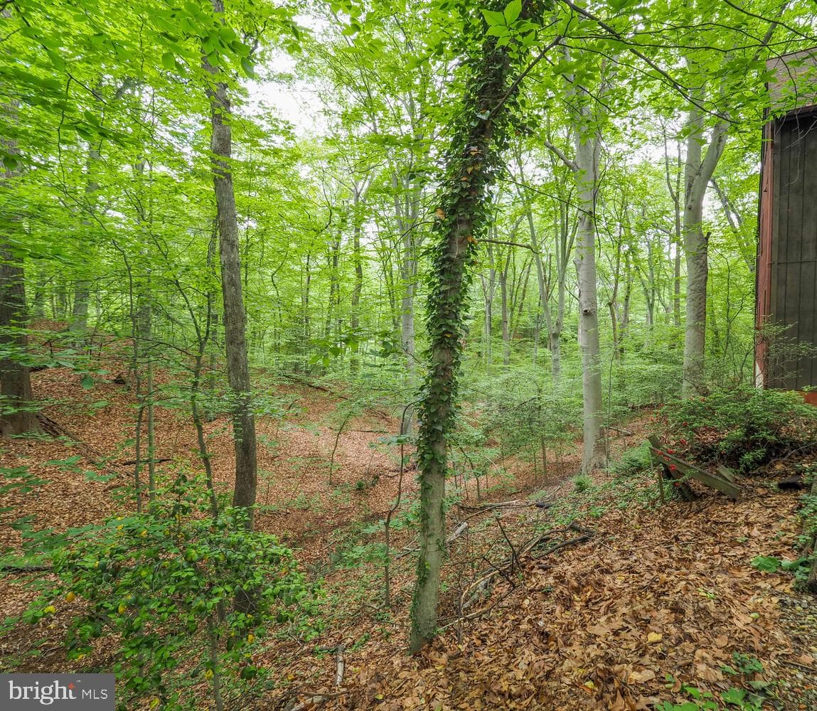 524 Ridge Road photo 26