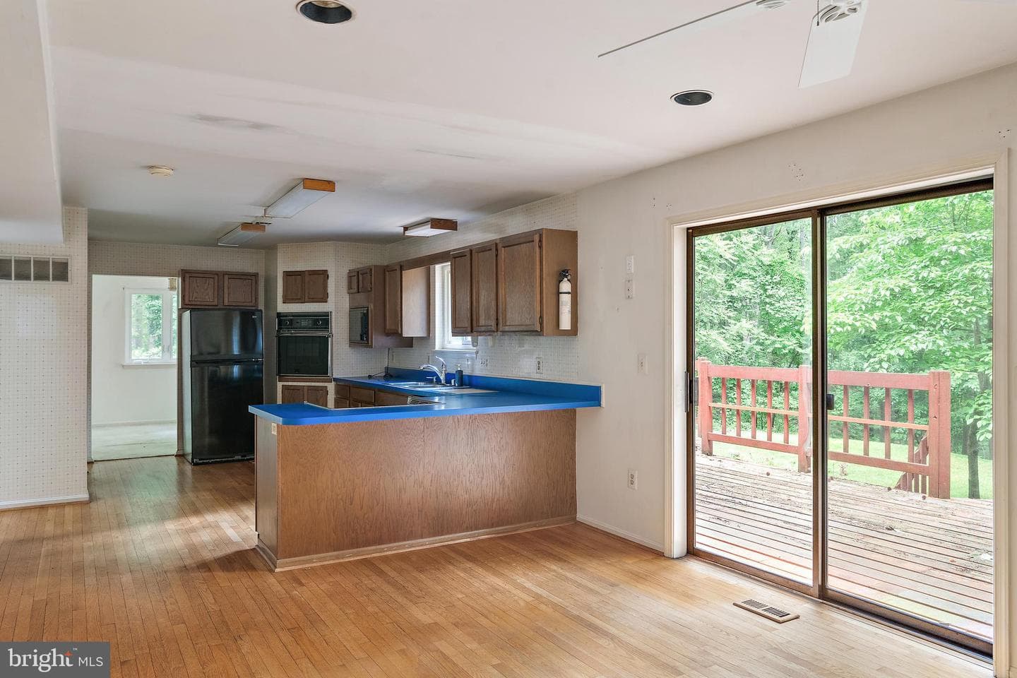 1131 Valentine Creek Drive photo 11