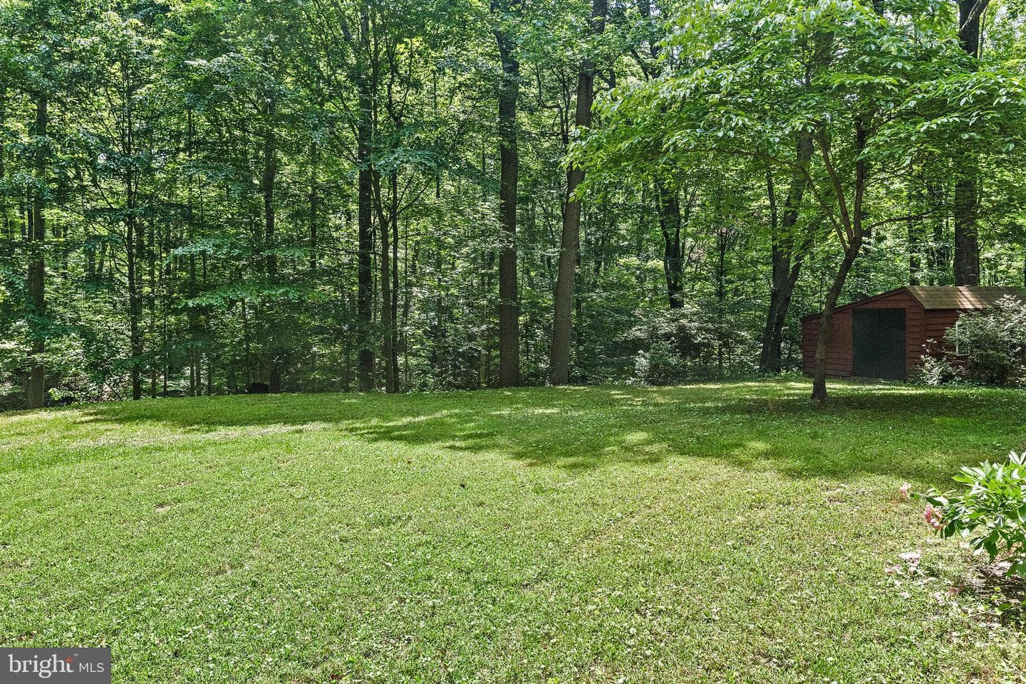 1131 Valentine Creek Drive photo 37