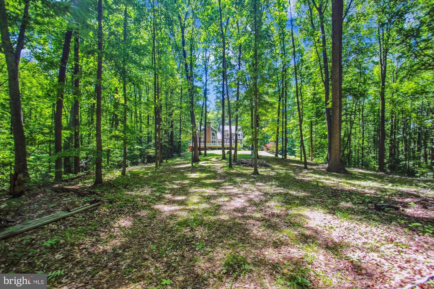 714 Avila Drive photo 39
