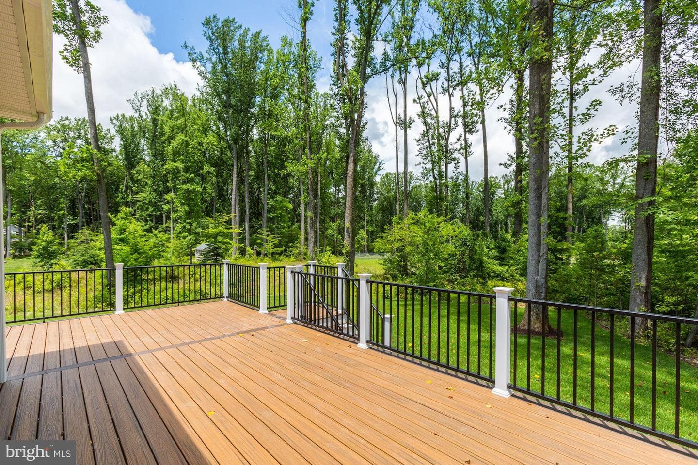7328 Wisteria Point Drive photo 45