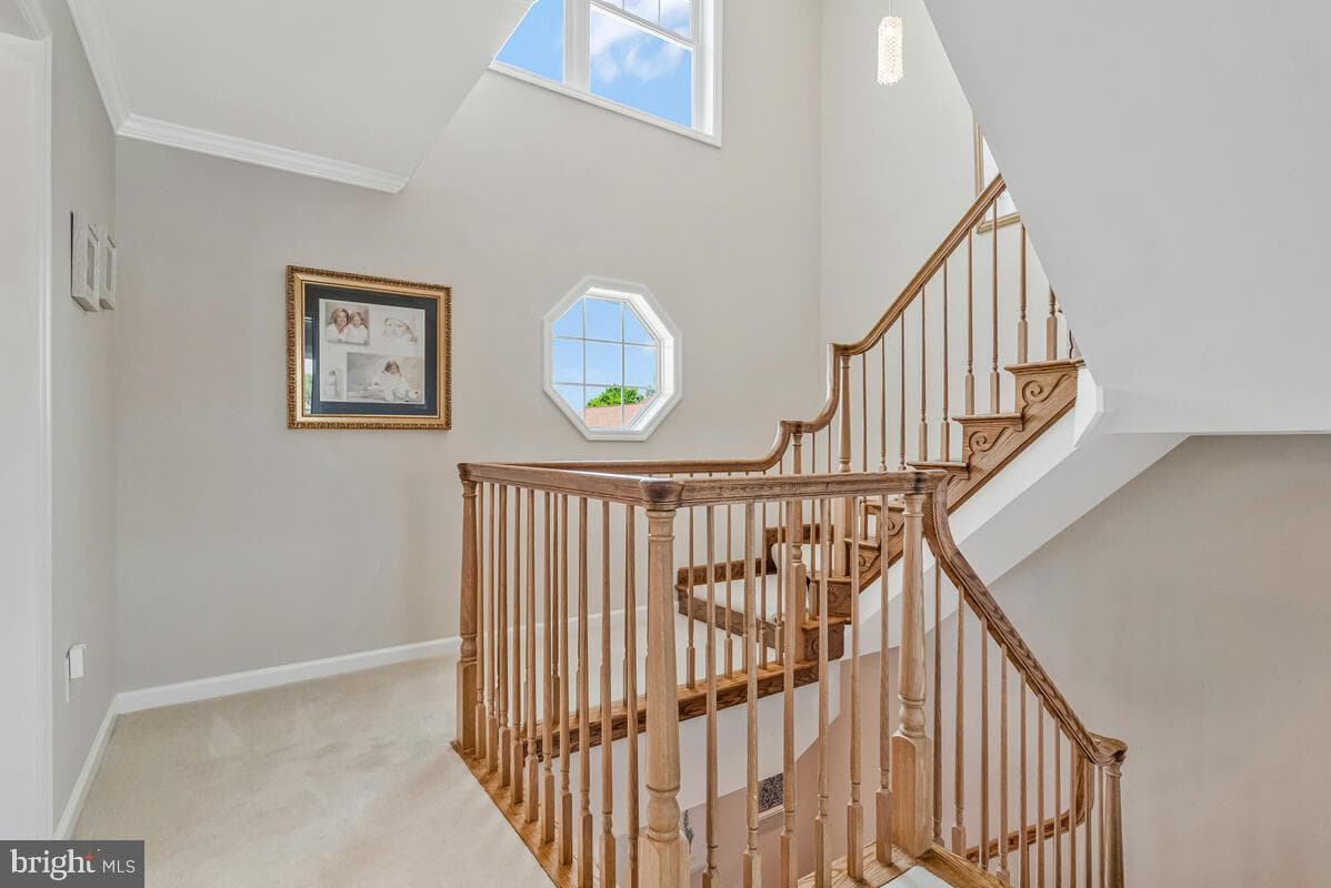 3300 Shore Drive photo 18