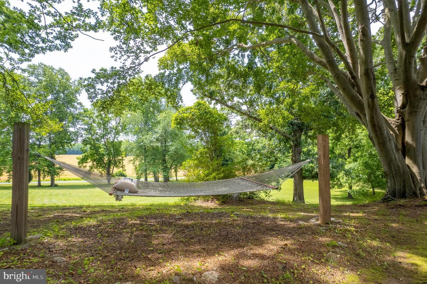 916 Upper Pindell Road photo 21