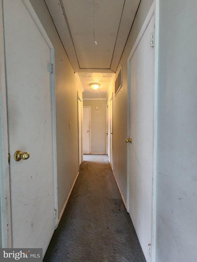 907 Princeton Terrace photo 18