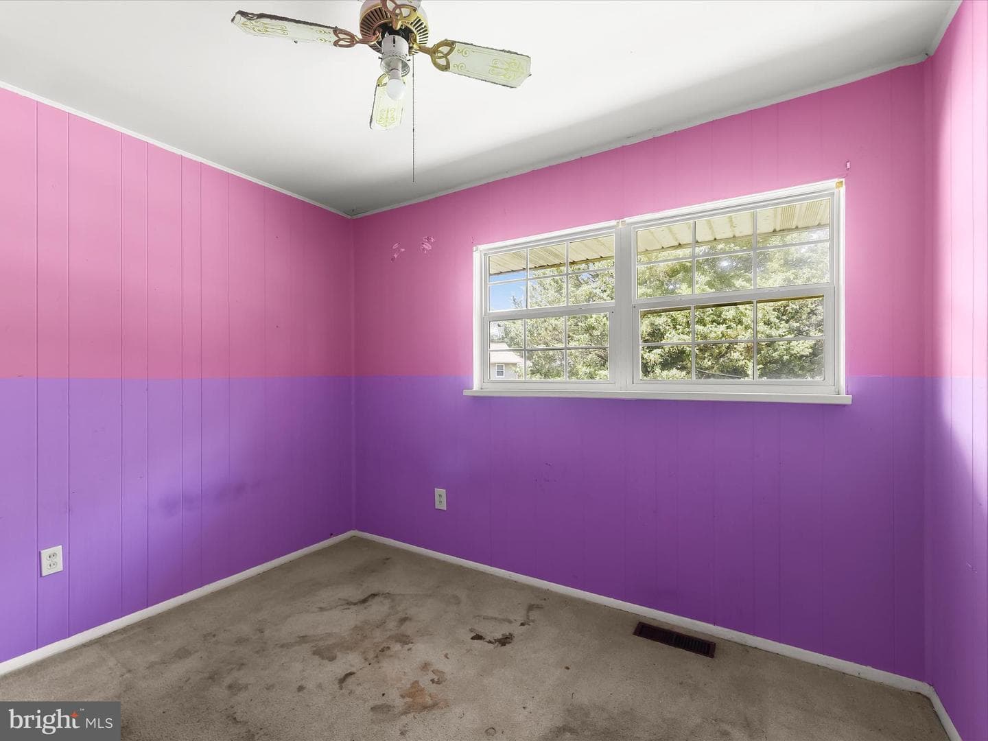907 Princeton Terrace photo 22