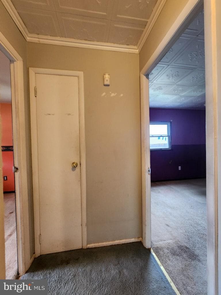 907 Princeton Terrace photo 24