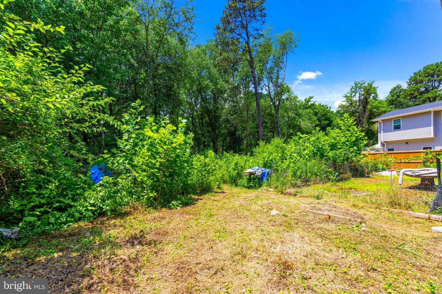 362 Washington Avenue photo 34