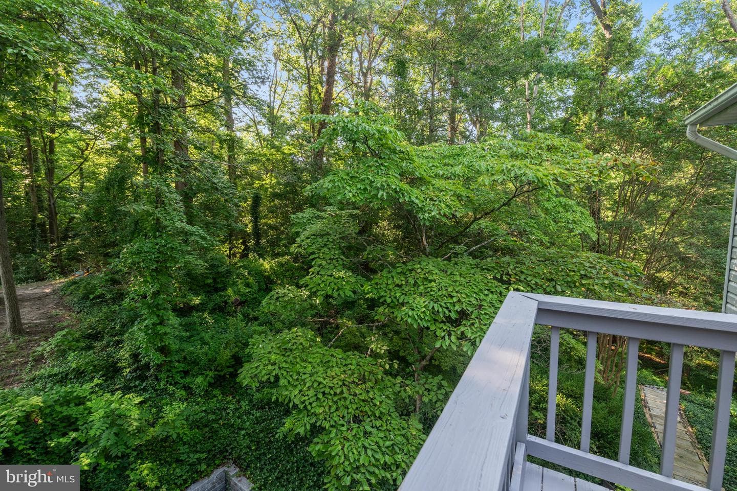 852 Birch Trail photo 59