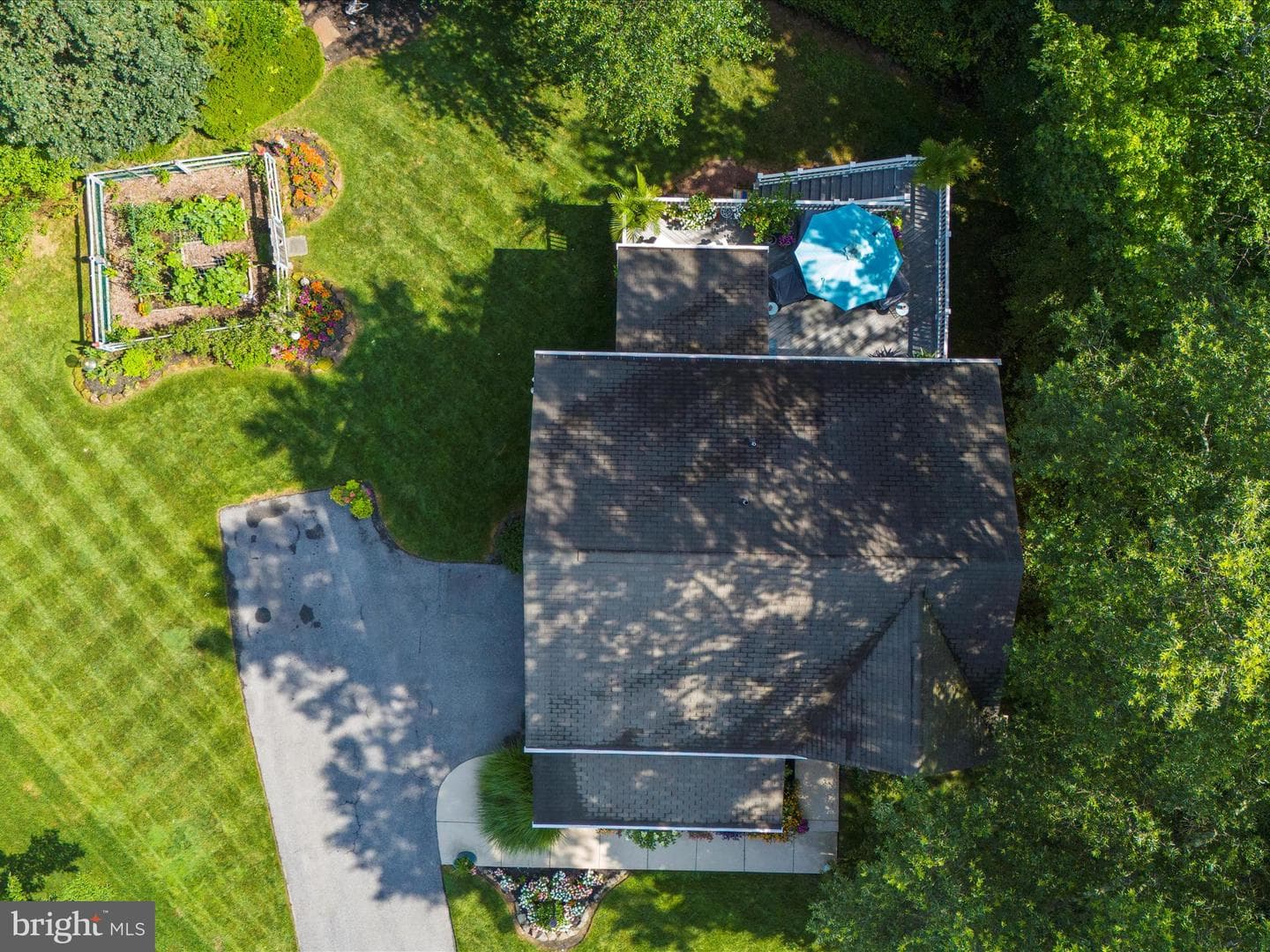 8110 Laurnick Drive photo 49