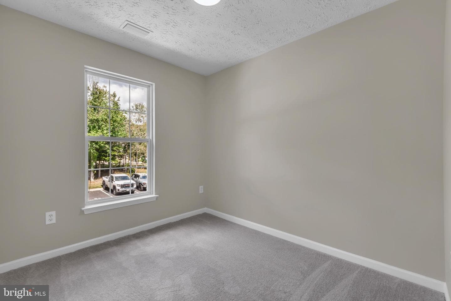 929 Nanticoke Run Way photo 25