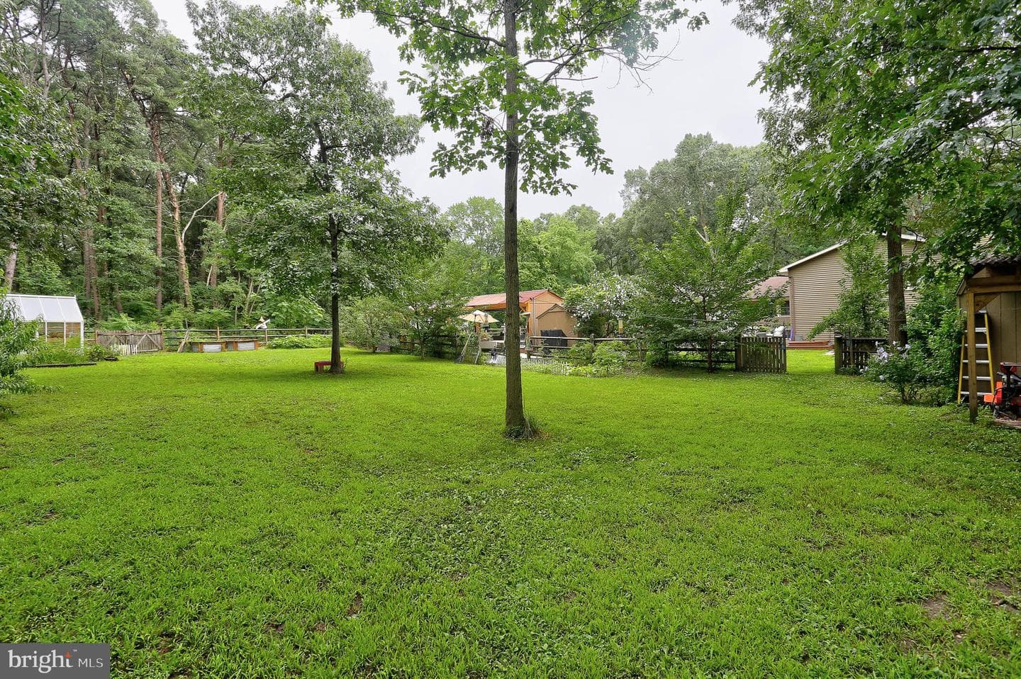 210 Pinewood Drive photo 19
