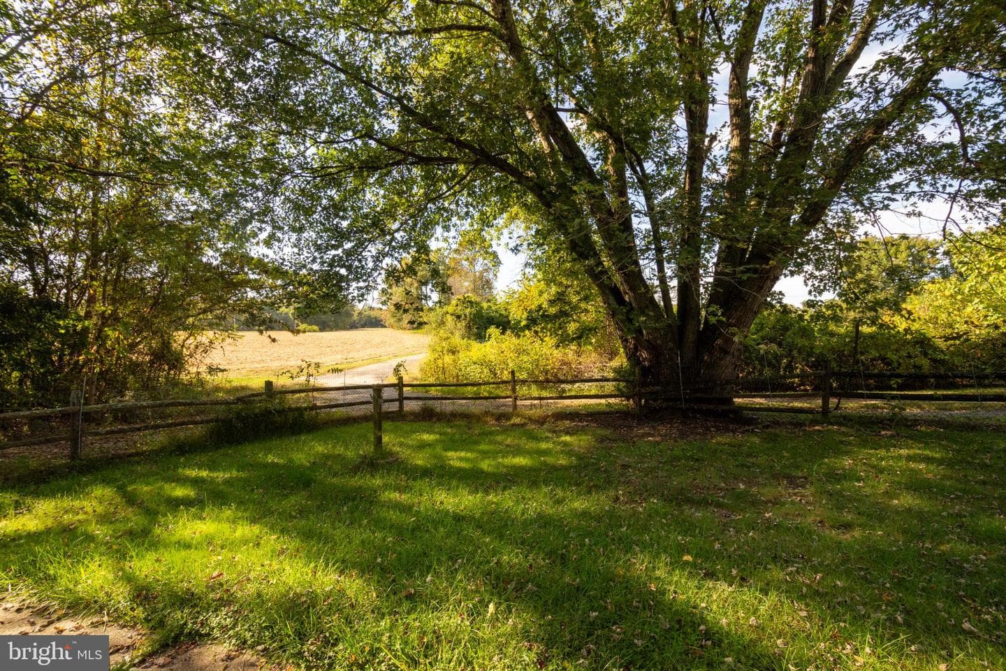 5292 Moreland Road photo 30