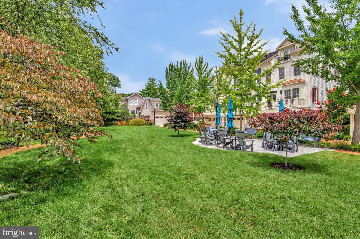 57 Richards Lane photo 41
