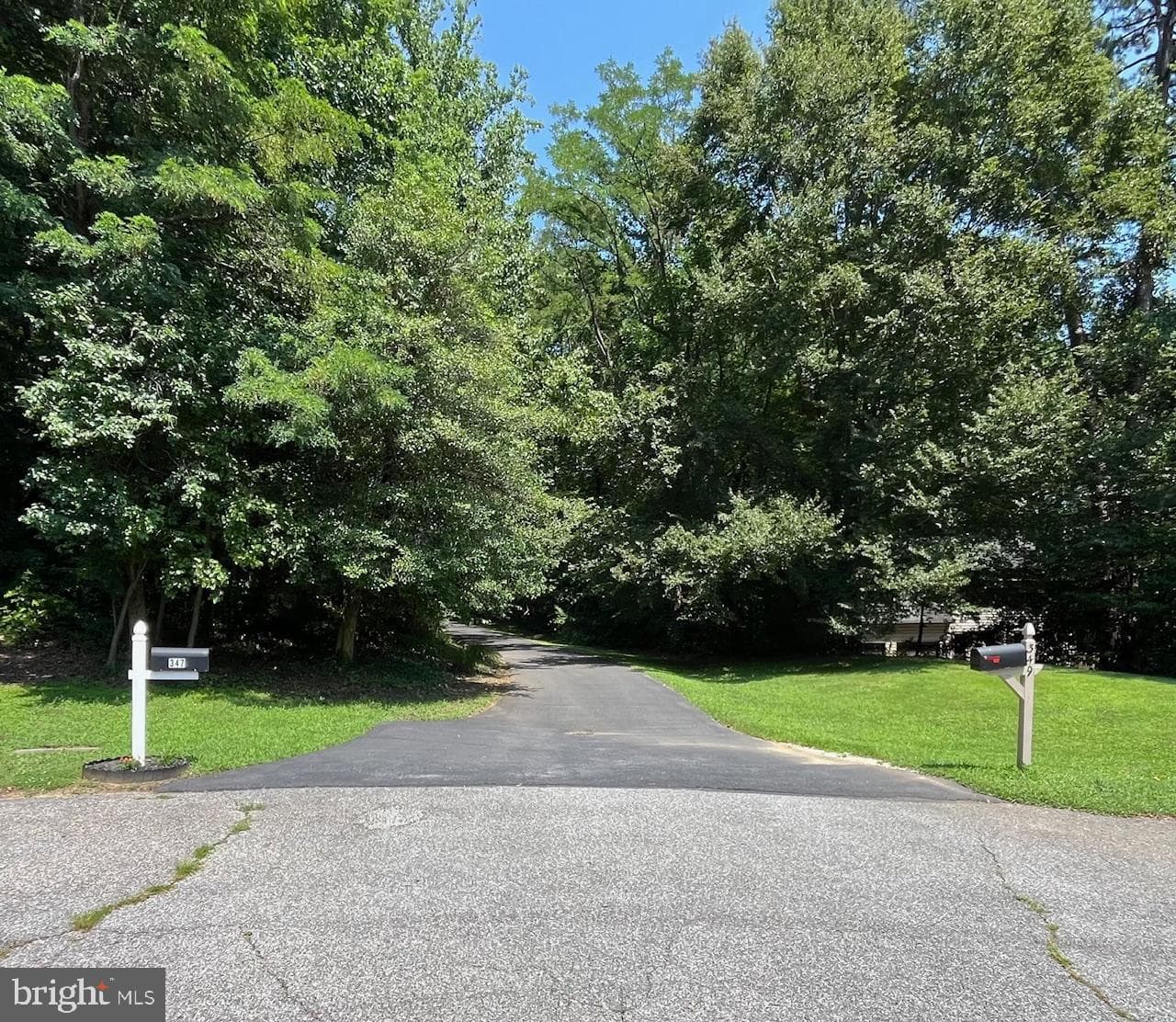 347 Candle Ridge Court photo 2