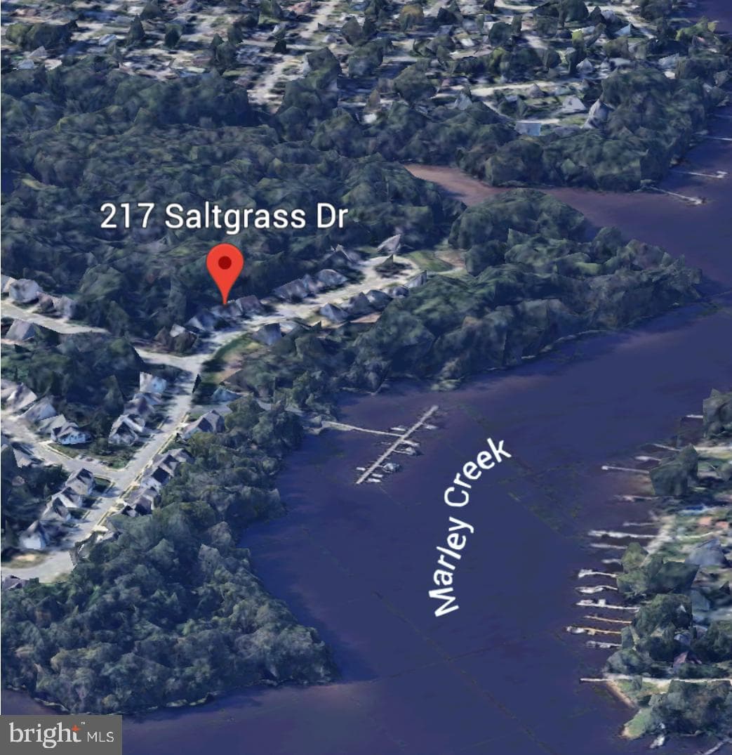 217 Saltgrass Drive photo 38