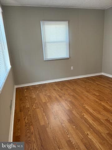 308 Holy Cross Road photo 6