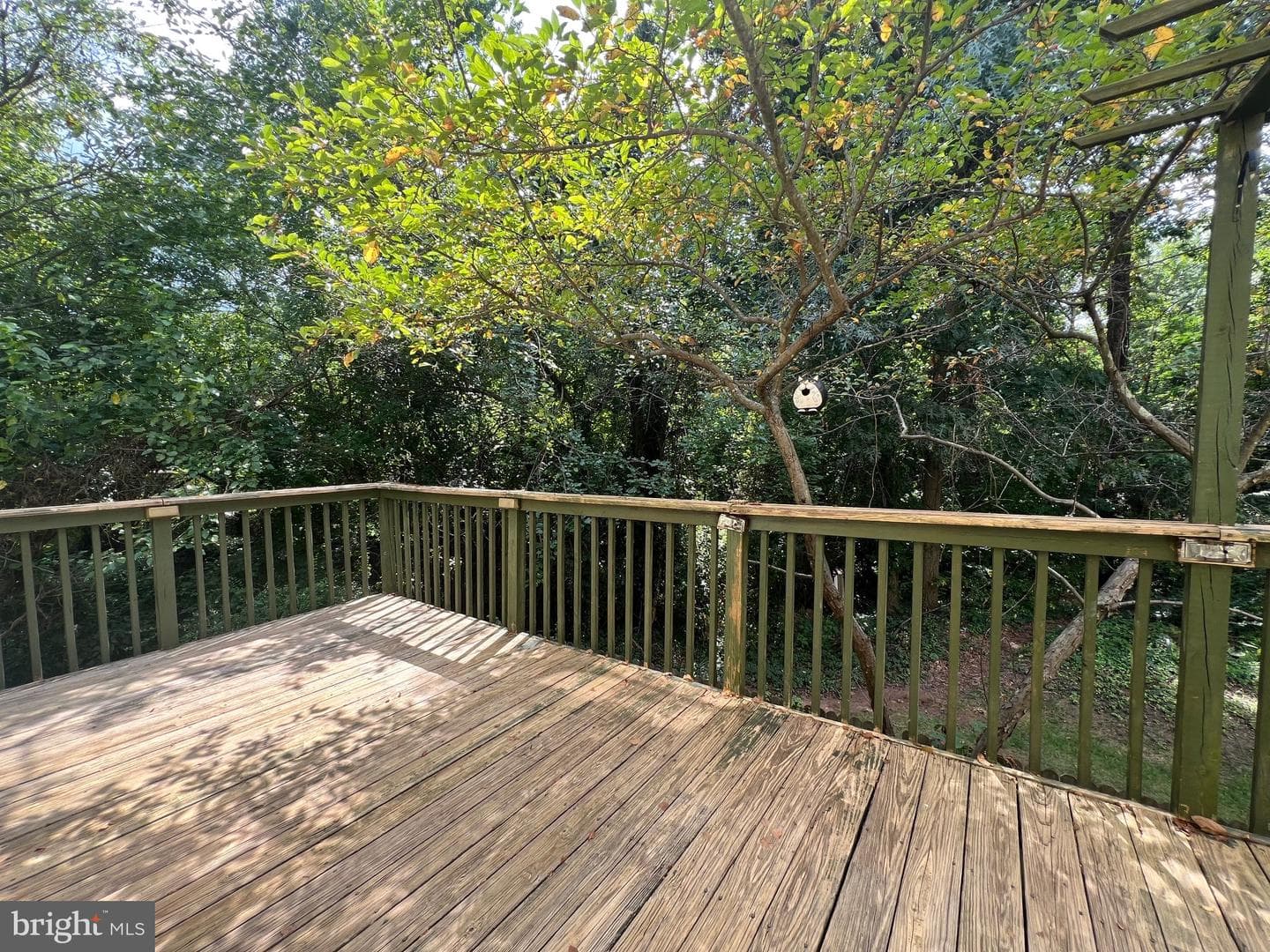 492 Norvelle Court photo 2